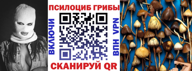 Псилоцибиновые грибы MAGIC MUSHROOMS  маркетплейс наркотические препараты  Александровское 